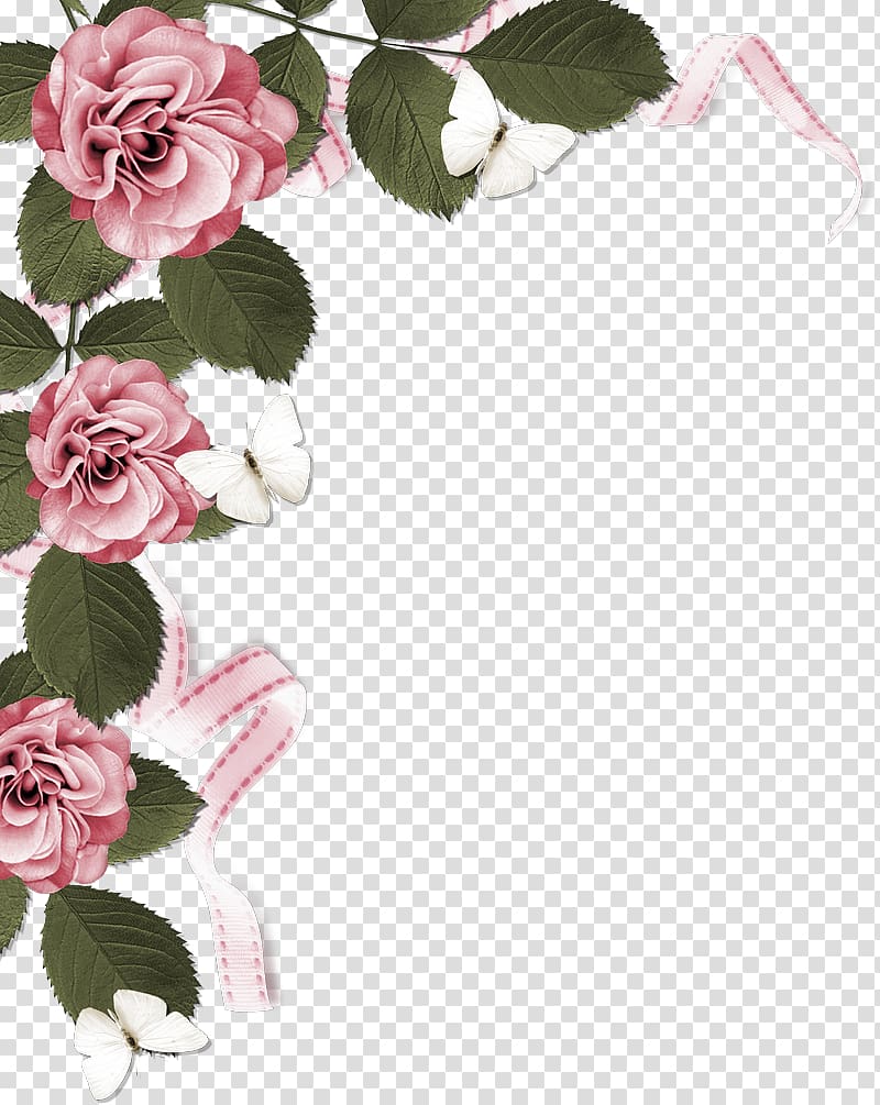 Rose Pink , side border transparent background PNG clipart