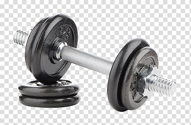 Dumbbell Physical fitness Fitness centre Exercise equipment, Halteres transparent background PNG clipart