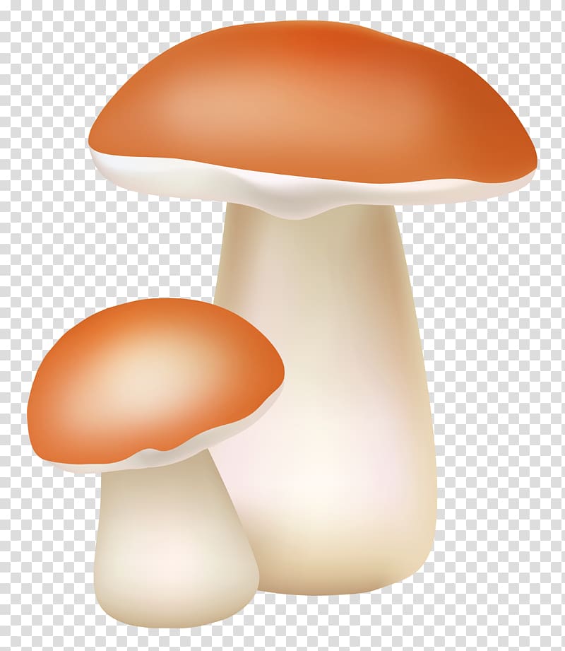 Light Mushroom , mushroom transparent background PNG clipart