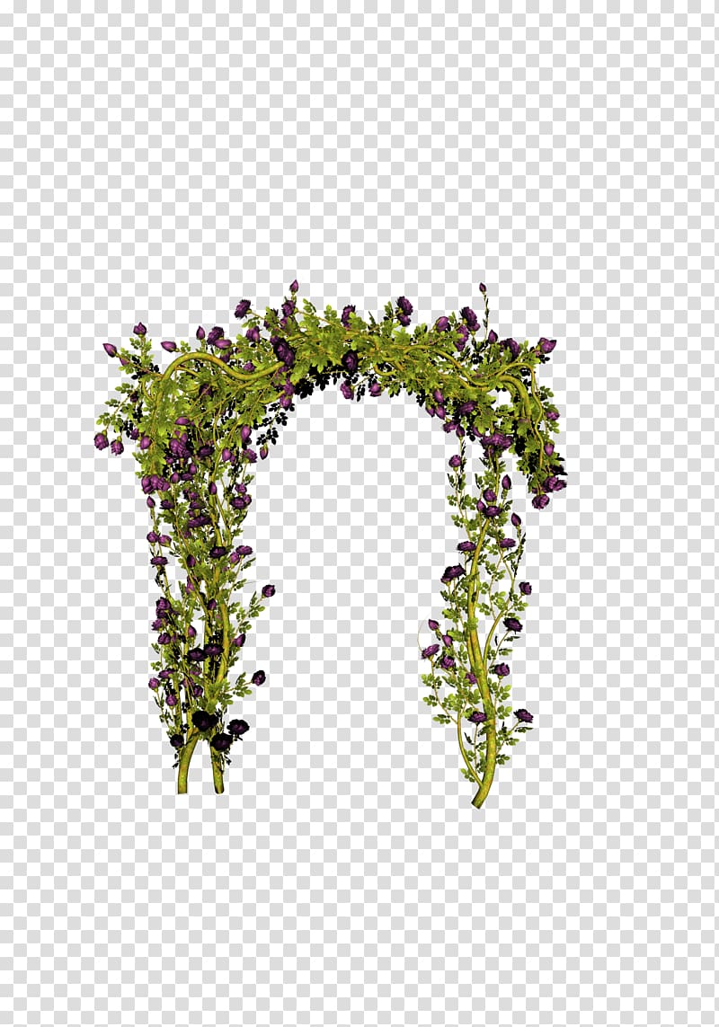 green leaf garden arbor, Beach rose Gate Icon, Rose Gate transparent background PNG clipart