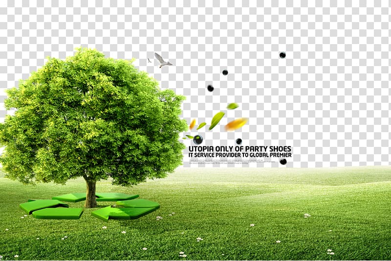 Utopia Only of Party Shoes , Book Tree Bureau of Jewish Education Illustration, Green Recycle transparent background PNG clipart
