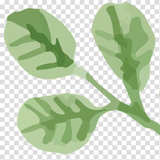 Earring Leaf Jewellery Glass Plant stem, Field Guide transparent background PNG clipart