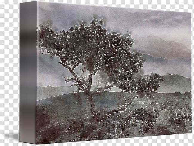 Mountain View Painting Wall decal Tree Wood, watercolor tree transparent background PNG clipart