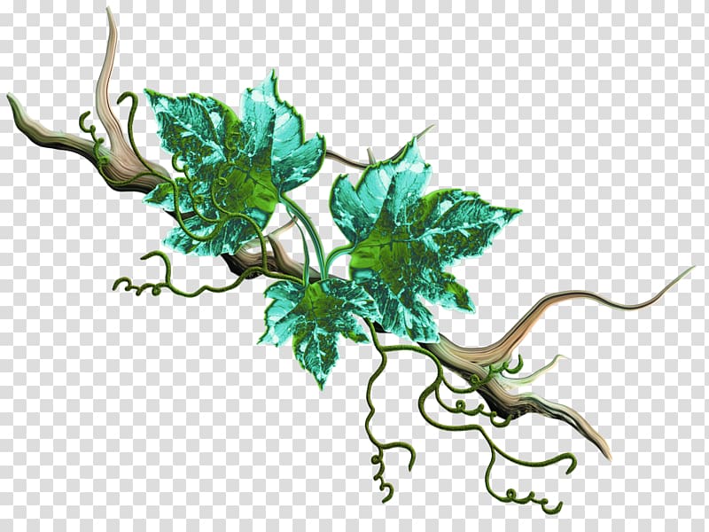 Leaf Plant stem Branching Legendary creature, vine branches transparent background PNG clipart