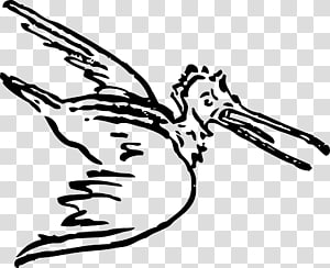 Bird flight Pelican , pelican transparent background PNG clipart thumbnail