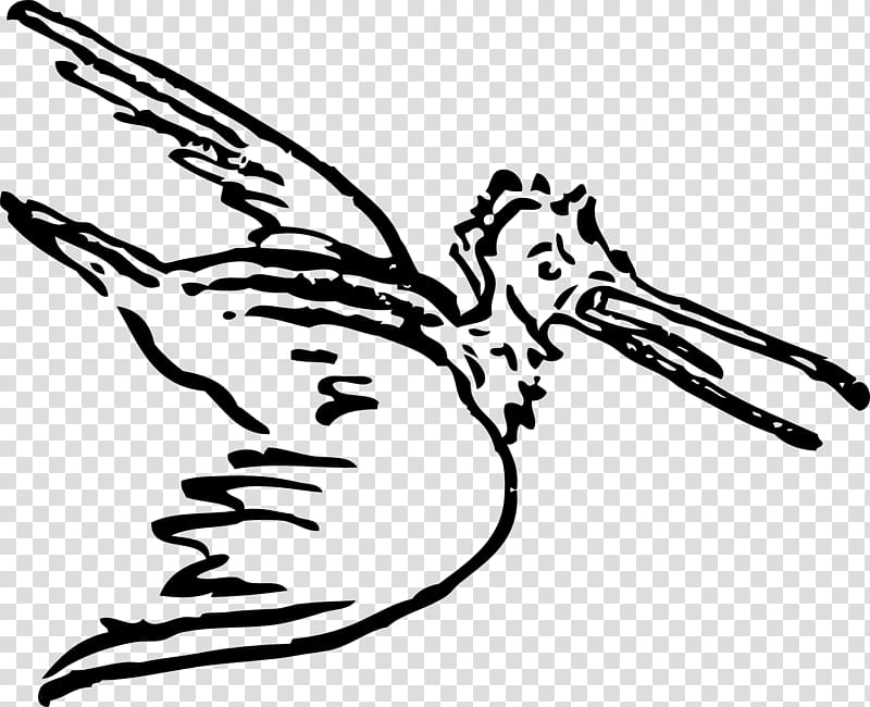 Bird flight Pelican , pelican transparent background PNG clipart Bird flight Pelican , pelican transparent background PNG clipart