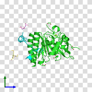 Leaf Logo , Leaf transparent background PNG clipart thumbnail