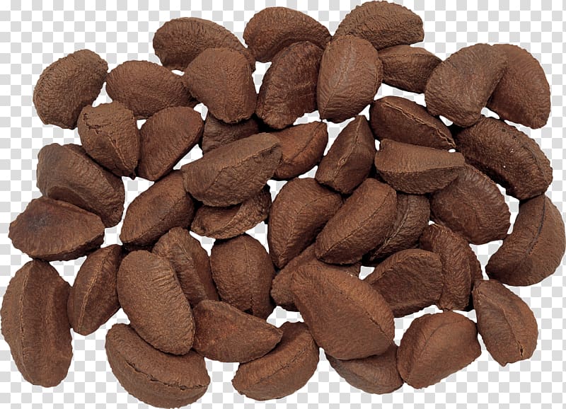 Brazil nut Nutcracker Hazelnut Pecan, Chocolate transparent background PNG clipart
