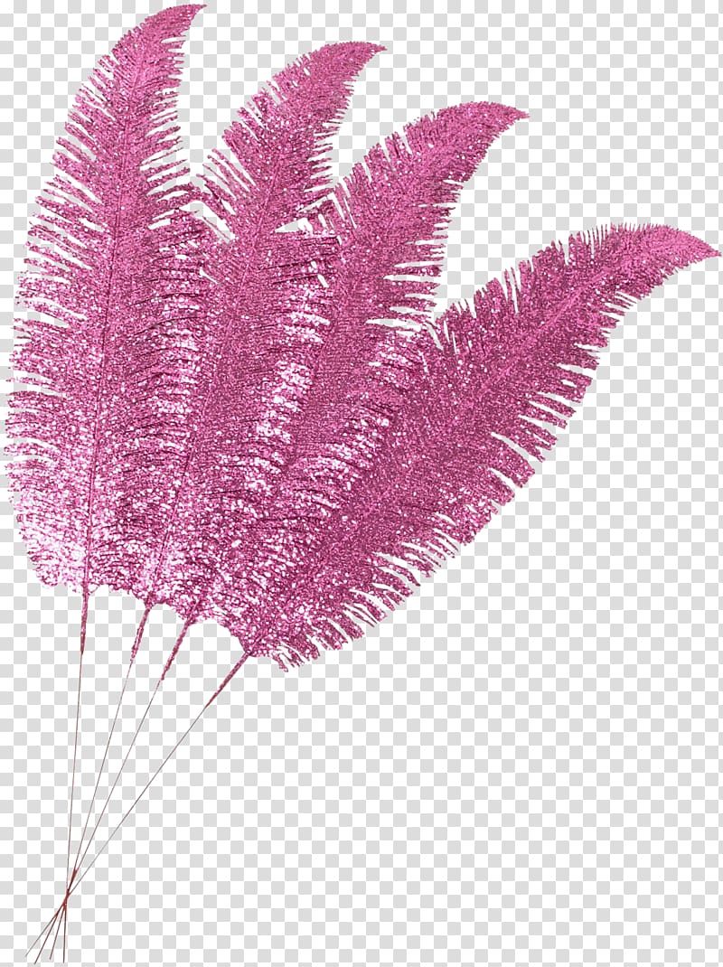 Feather , feather transparent background PNG clipart