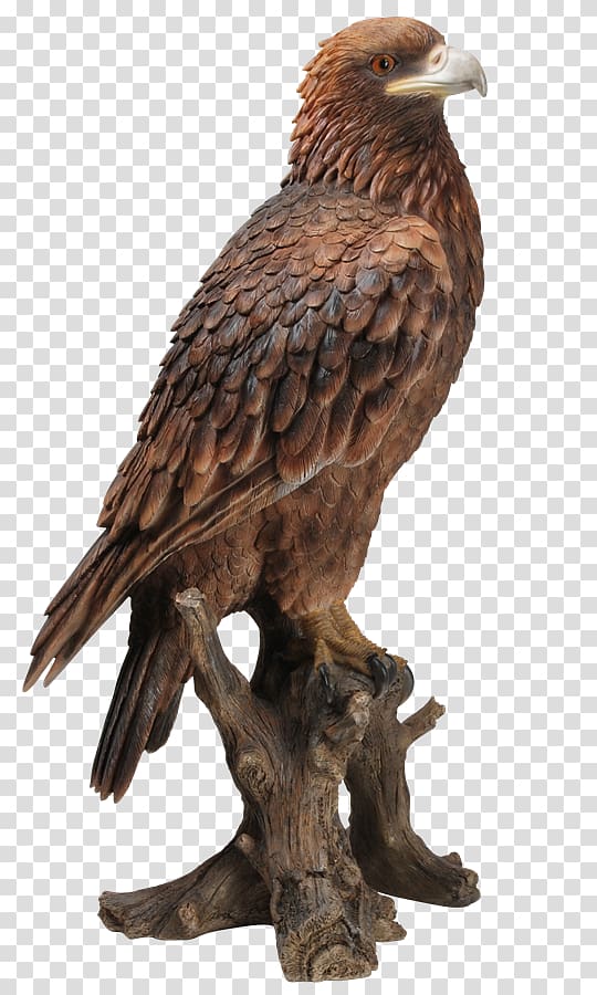 Bald Eagle Bird Golden eagle Sculpture, Bird transparent background PNG clipart