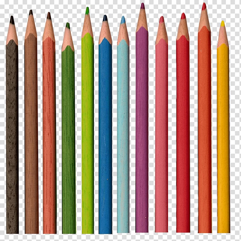 assorted-colored pencil lot, Series Of Pencils transparent background PNG clipart