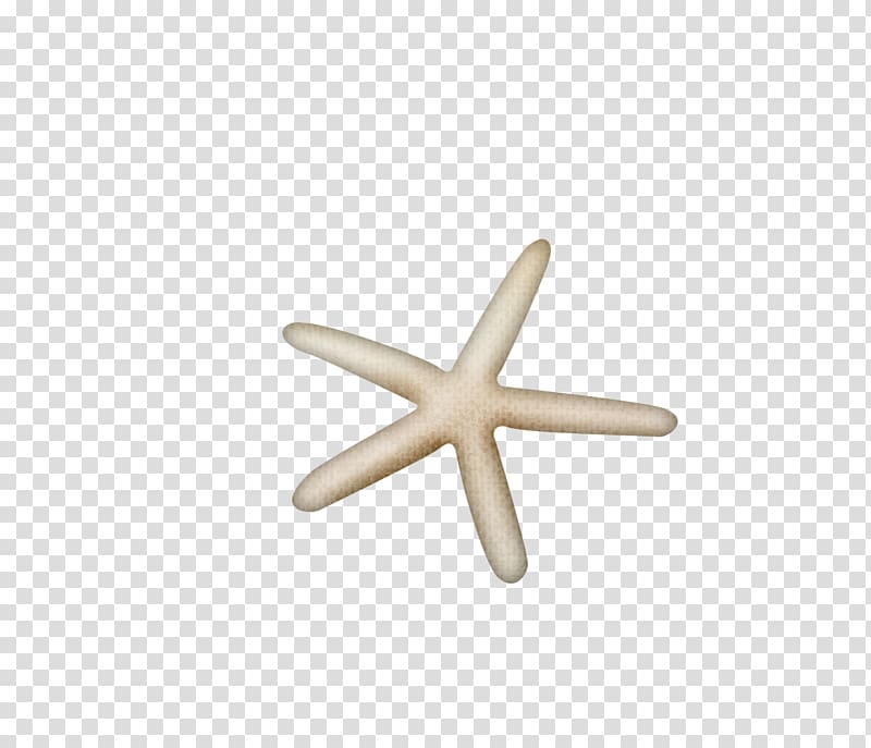 Starfish Beach Designer, Simple starfish decoration transparent background PNG clipart