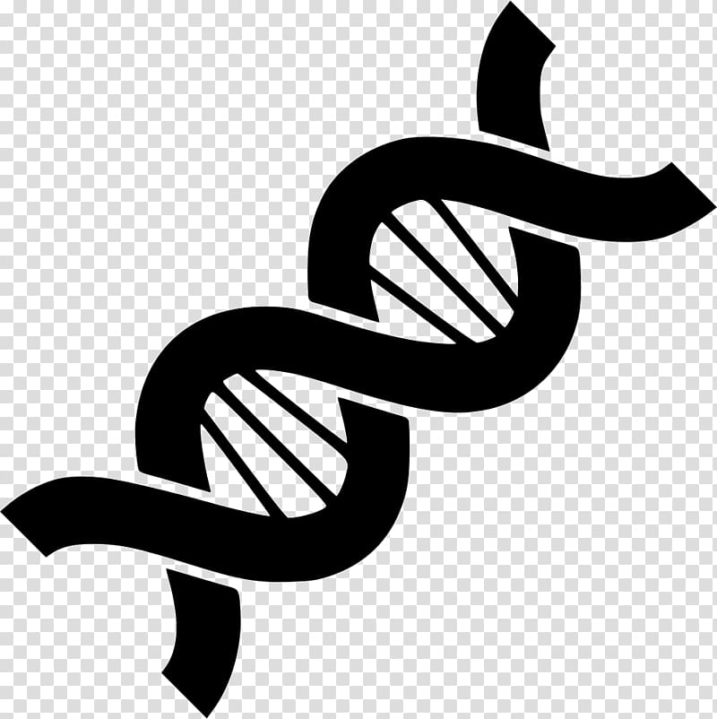 DNA strand illustration, Genetics Computer Icons DNA, DNA transparent background PNG clipart