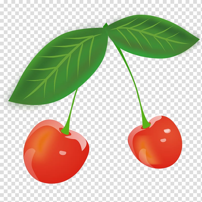 Sour Cherry Fruit , Cherry transparent background PNG clipart