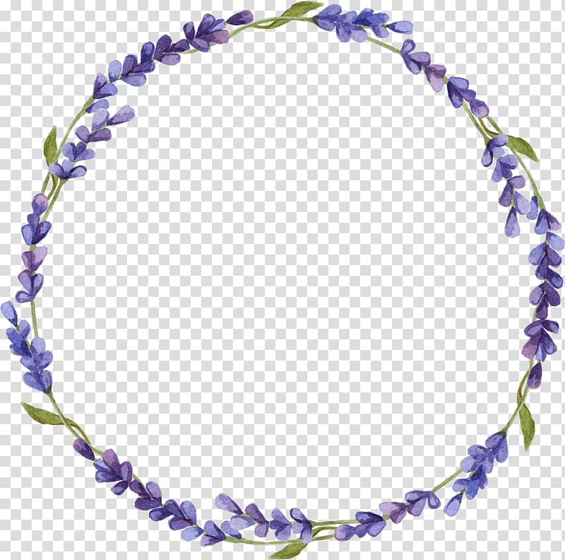 lavender transparent background PNG clipart