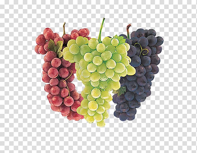 Common Grape Vine Wine Juice Cultivar, Trebles grapes transparent background PNG clipart