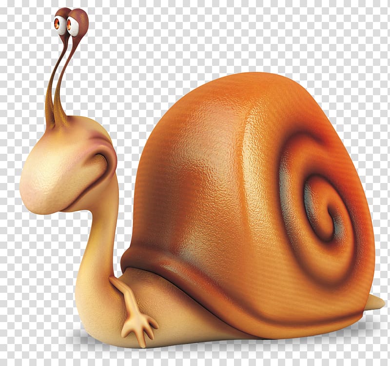 Orthogastropoda Illustration, snails transparent background PNG clipart