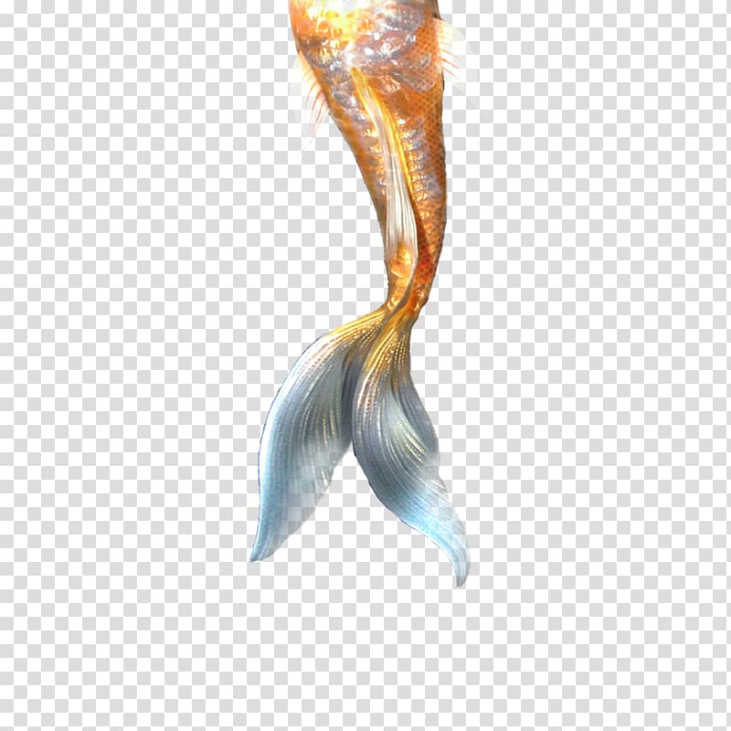 Ariel Merliah Summers Mermaid Tail, Mermaid transparent background PNG clipart