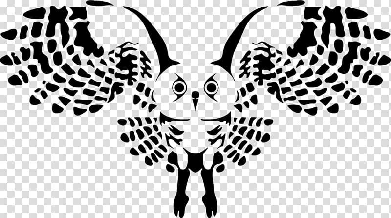Eastern screech owl Bird Cat Canidae, owl transparent background PNG clipart