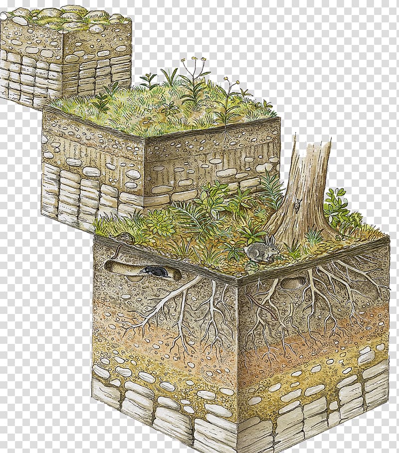 Soil horizon Stratum Organic matter Topsoil, Illustration of plant growth rock formation transparent background PNG clipart