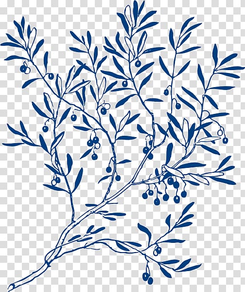 Olive branch Coloring book Tree , navy transparent background PNG clipart