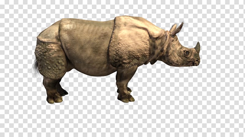 Indian rhinoceros Horn, rhino transparent background PNG clipart