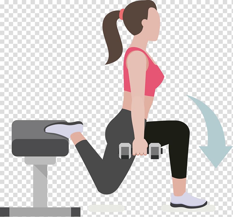 Dumbbell Physical exercise Physical fitness Weight training, Ladies with dumbbells squatting transparent background PNG clipart