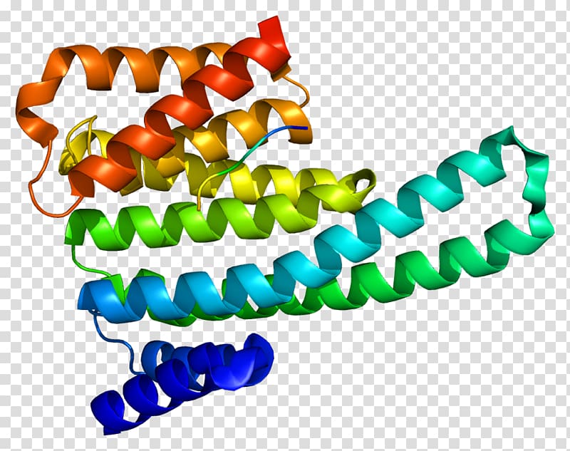 YWHAE 14-3-3 protein Protein Data Bank Protein tertiary structure, others transparent background PNG clipart