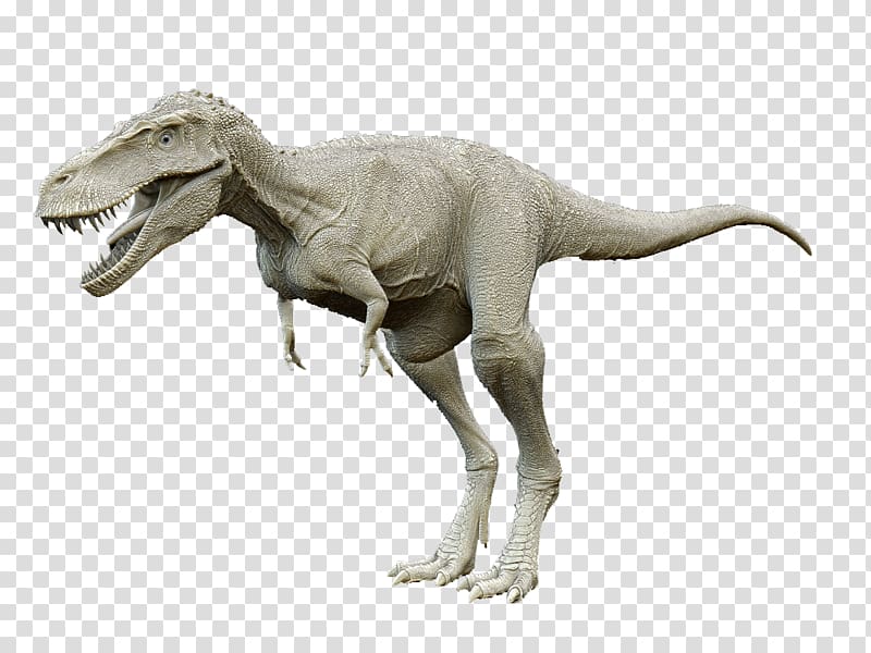 Tyrannosaurus Prehistory Dinosaur Euclidean , dinosaur transparent background PNG clipart