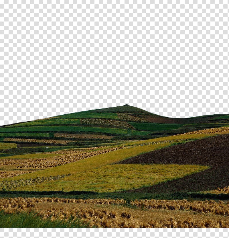 Hill Euclidean Grade, The farmland on the hillside transparent background PNG clipart