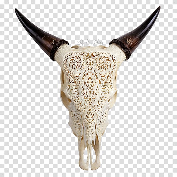 Texas Longhorn English Longhorn Animal Skulls Cow\'s Skull: Red, White, and Blue, skull transparent background PNG clipart