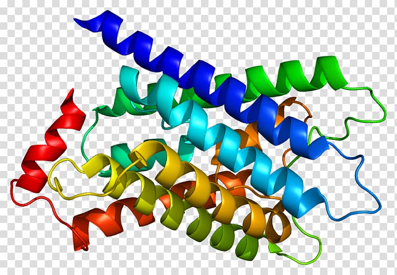 MIP Wikipedia HUGO Gene Nomenclature Committee Major intrinsic proteins Encyclopedia, others transparent background PNG clipart