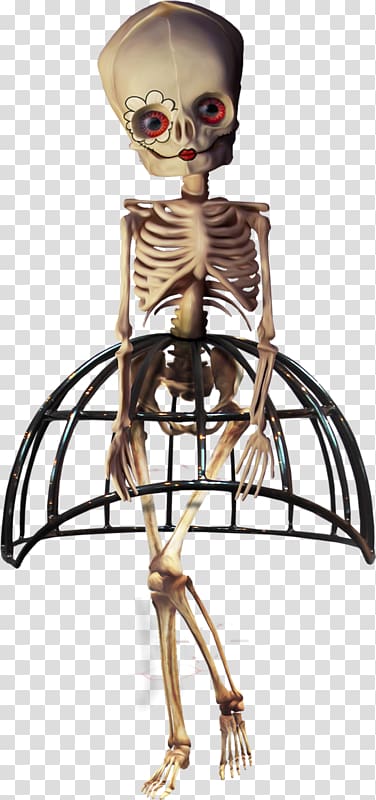 Human skeleton Halloween Skull, Beauty skull skeleton transparent background PNG clipart