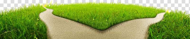 Lawn Meadow Wheatgrass Green Field, Meadow,road transparent background PNG clipart