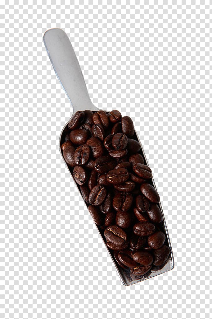 Coffee bean Cafe Coffee cup, Coffee beans transparent background PNG clipart
