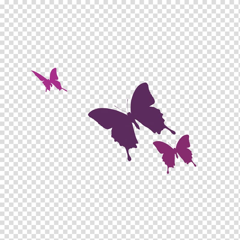 Color, butterfly transparent background PNG clipart