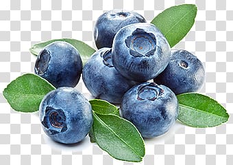 Blueberries transparent background PNG clipart