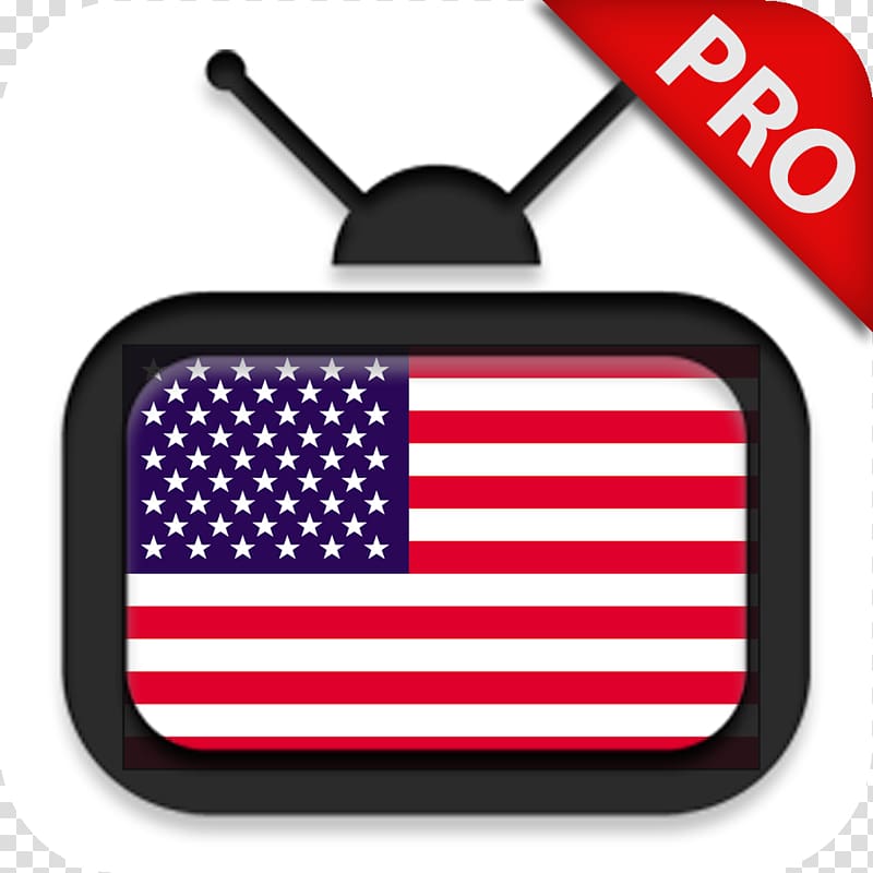 Flag of the United States Pledge of Allegiance Flag of Texas, watching tv transparent background PNG clipart