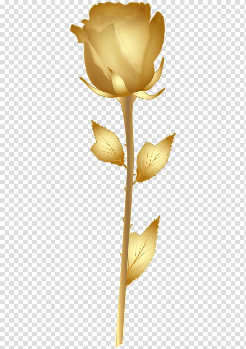 Rose Gold Flower , gold flower transparent background PNG clipart