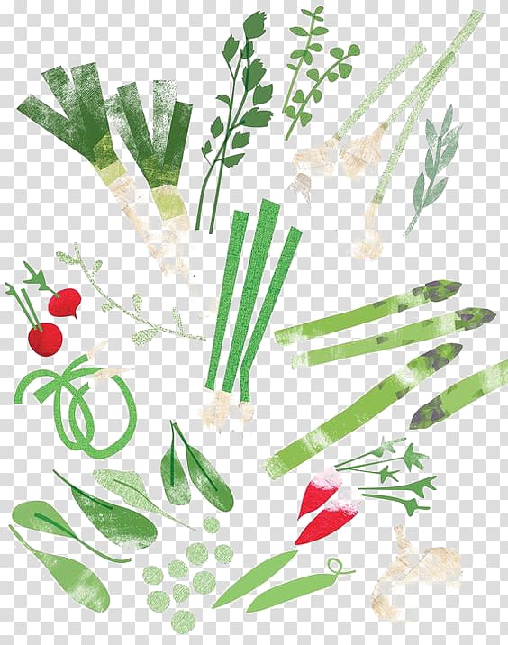 Drawing Art Food Vegetable Illustration, Vegetable material transparent background PNG clipart