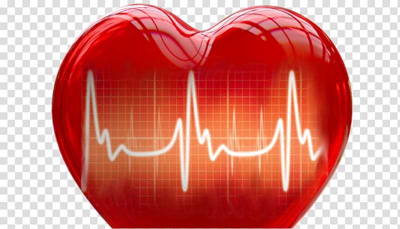Heart rate variability Medicine Cardiology, heart transparent background PNG clipart