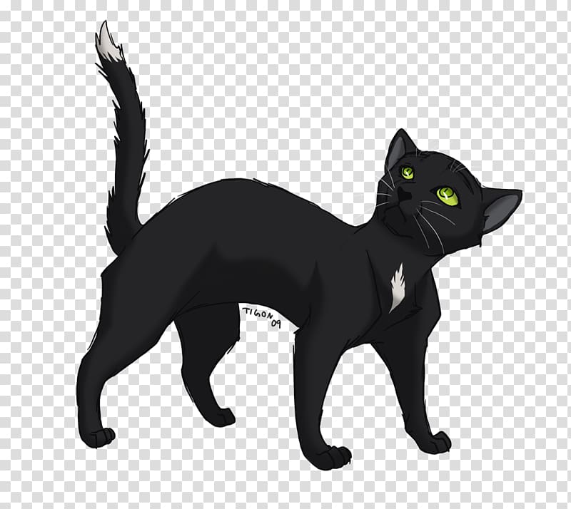 Domestic Short-haired Cat Whiskers Ravenpaw Warriors PNG, Clipart, Animals,  Black Cat, Carnivoran, Cartoon, Cat Free
