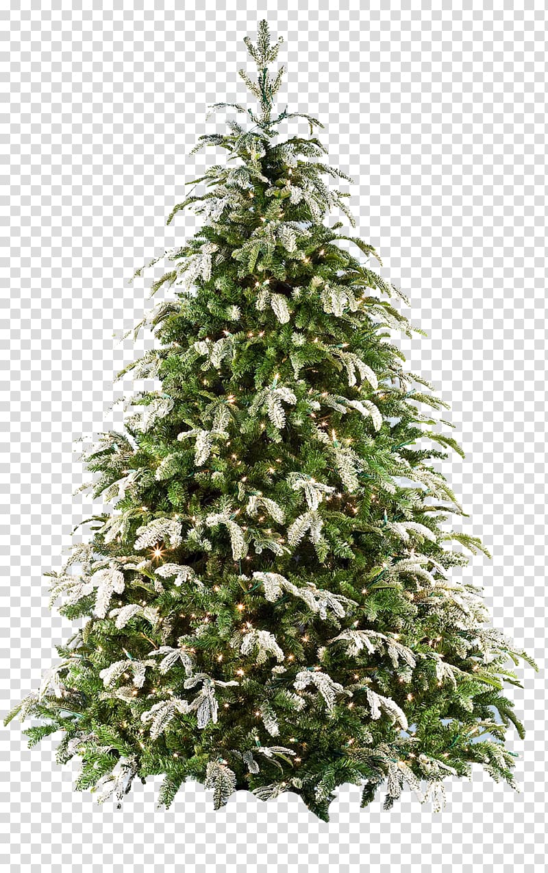 Fraser fir Artificial Christmas tree, fir-tree transparent background PNG clipart