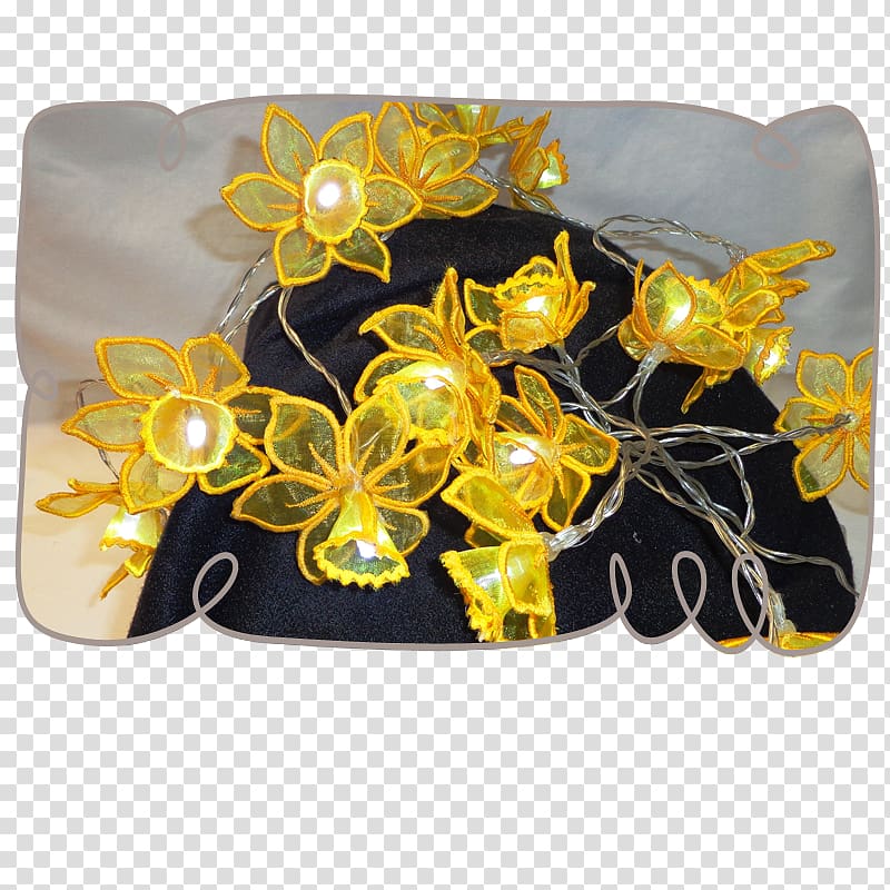 Insect Pollinator Membrane, fairy lights transparent background PNG clipart