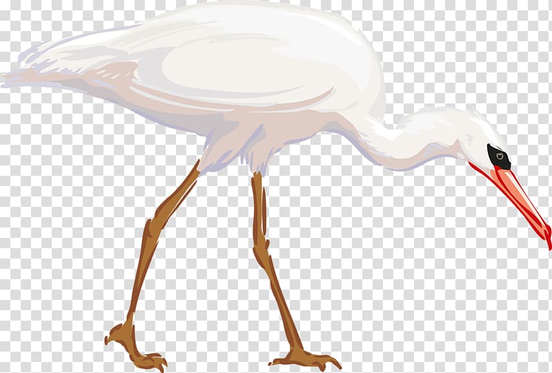 Heron Bird Great egret , Flat mouth Birds transparent background PNG clipart