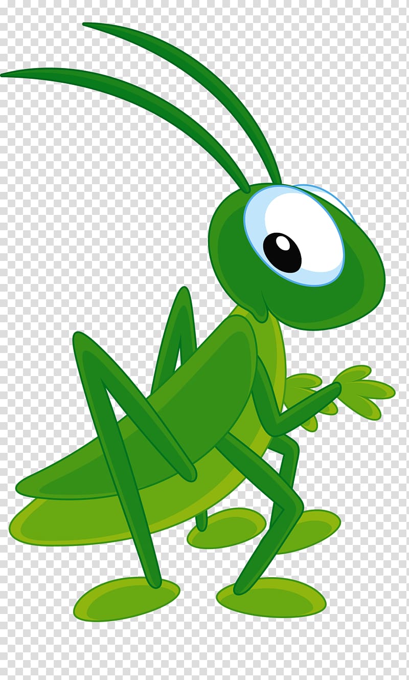 green grasshopper character art, Insect Cartoon Bee , Green grasshopper transparent background PNG clipart