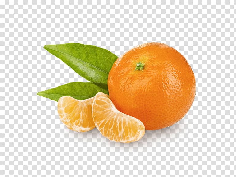 Clementine Mandarin orange Tangerine Tangelo Bitter orange, mandarin transparent background PNG clipart