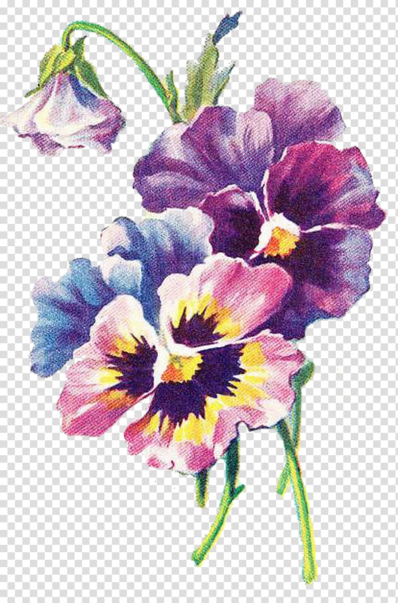 Floral design Art Pansy Decoupage, design transparent background PNG clipart
