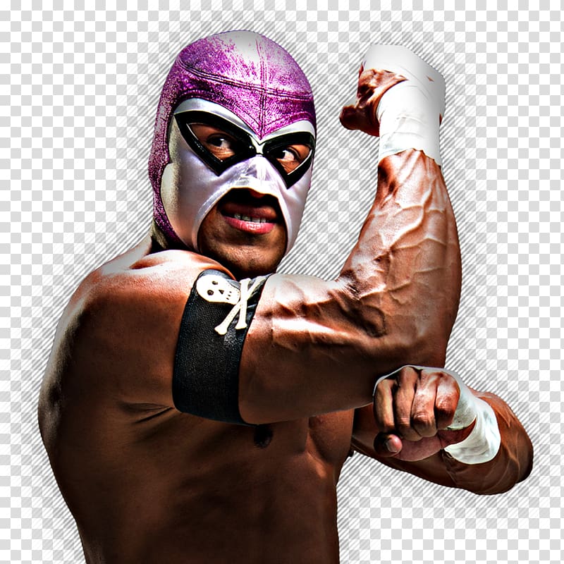 El Hijo del Fantasma Triplemanía XXIV Lucha Libre AAA Worldwide Professional Wrestler, mask transparent background PNG clipart