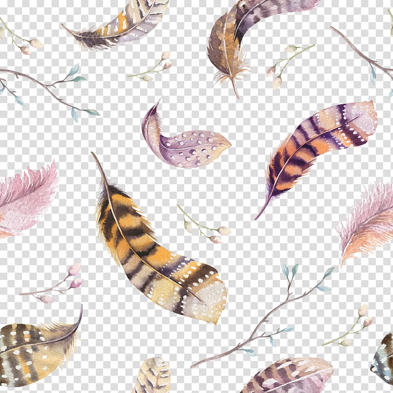 Watercolor painting Drawing, feather transparent background PNG clipart